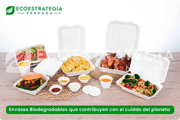 Envases biodegradables, ecológicos y compostables para alimentos y bebidas: bowls de bambú (para sopas y ensaladas), vasos biodegradables para café o refrescos, y pirotines biodegradables para salsas y ajiceros