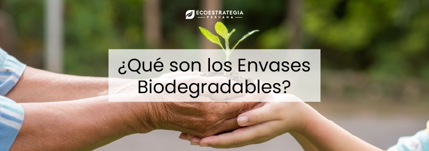 Envases biodegradables hechos con materia orgánica que ayudan al reciclaje y cuidan el planeta