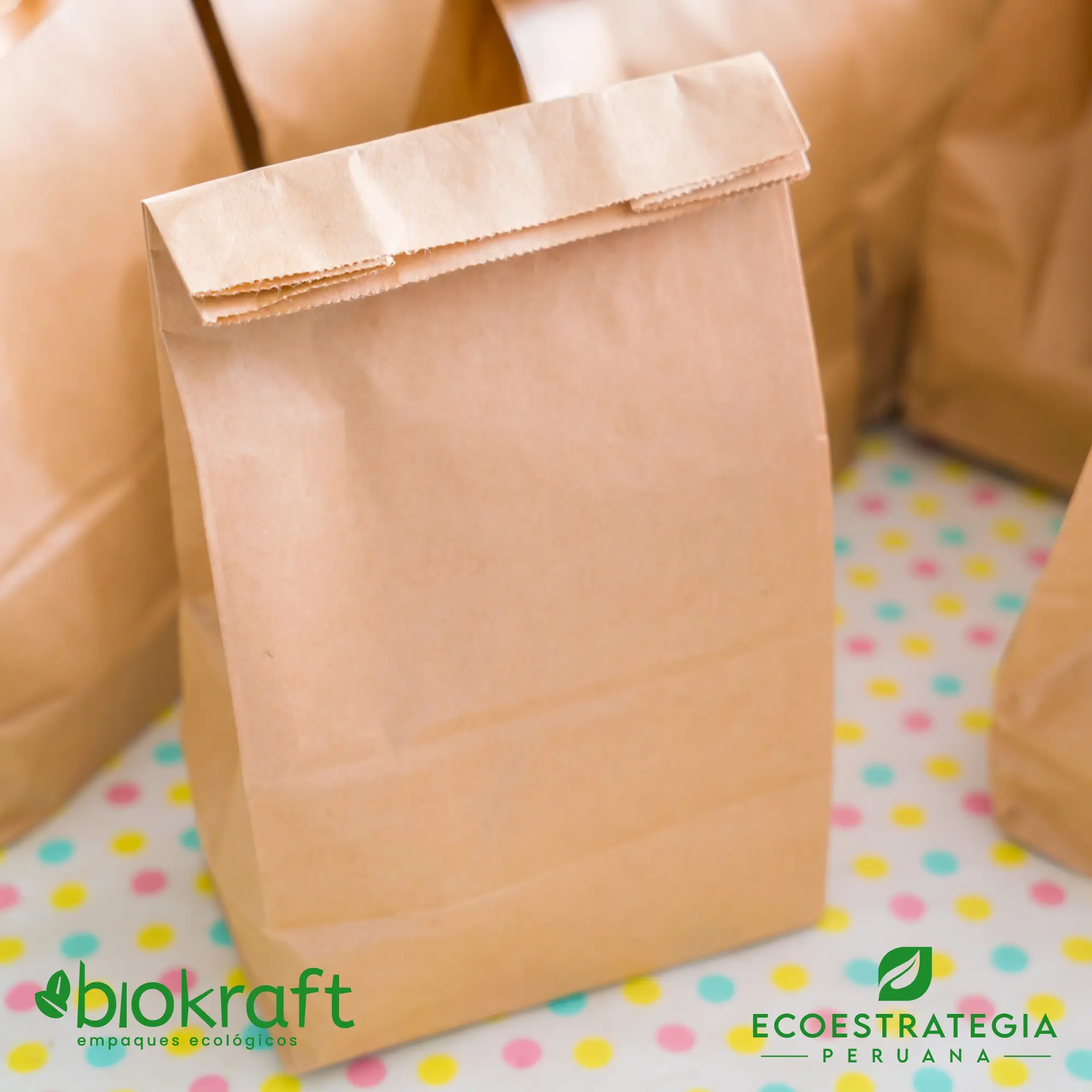 Bolsa de papel kraft biodegradable #30 para negocios sostenibles que valoran la presentación