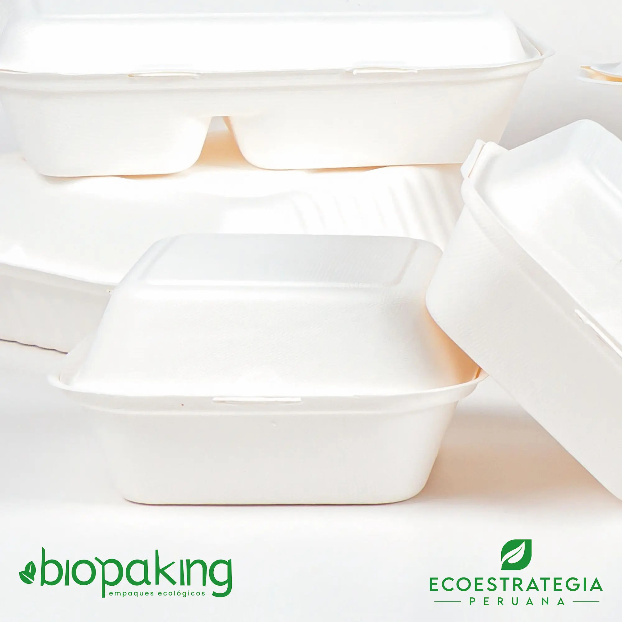 Envase biodegradable fibra de caña CT4 para negocios de comida rápida ecoamigables