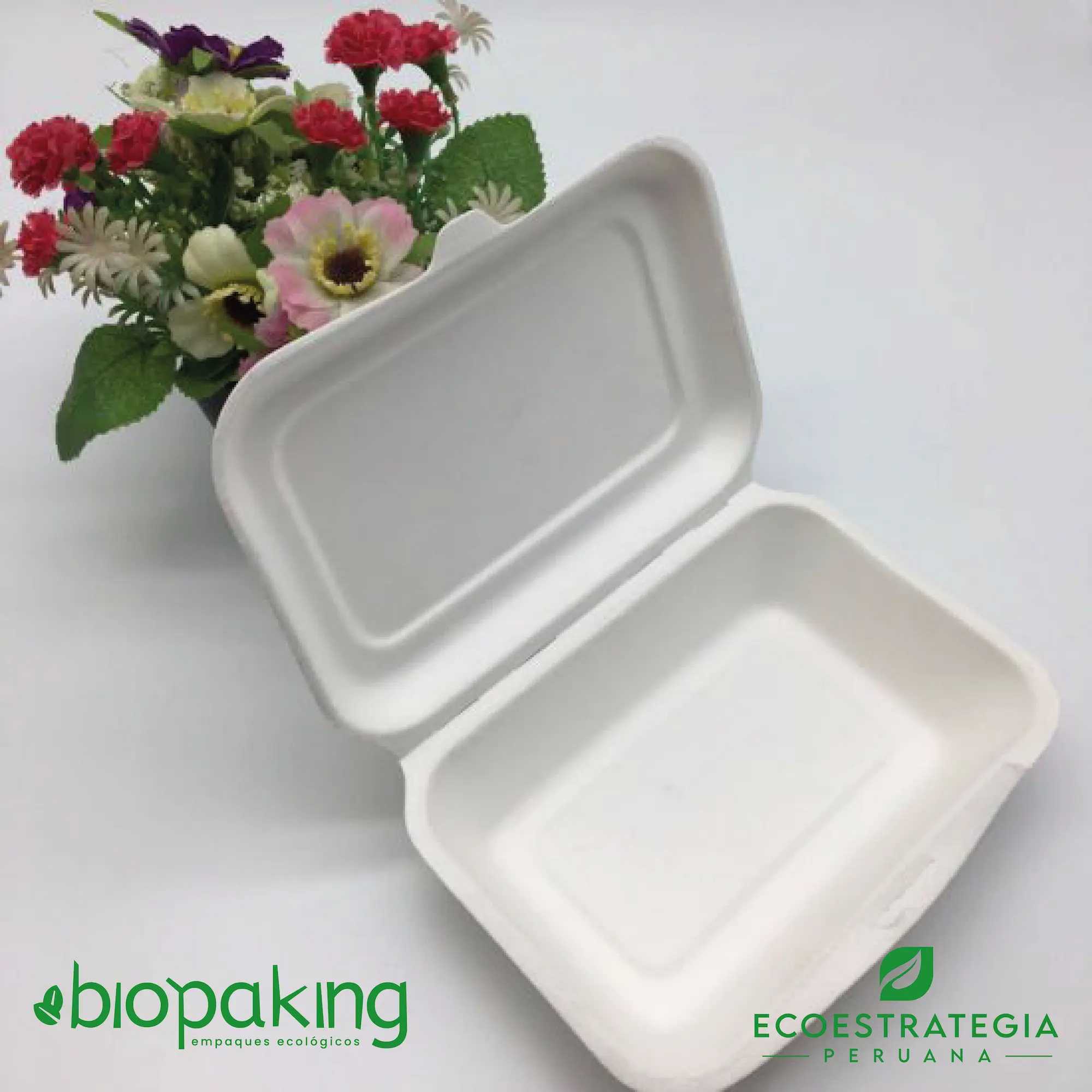 Envase biodegradable CT7 para snacks y ensaladas frescas, perfecto para comida saludable para llevar.

