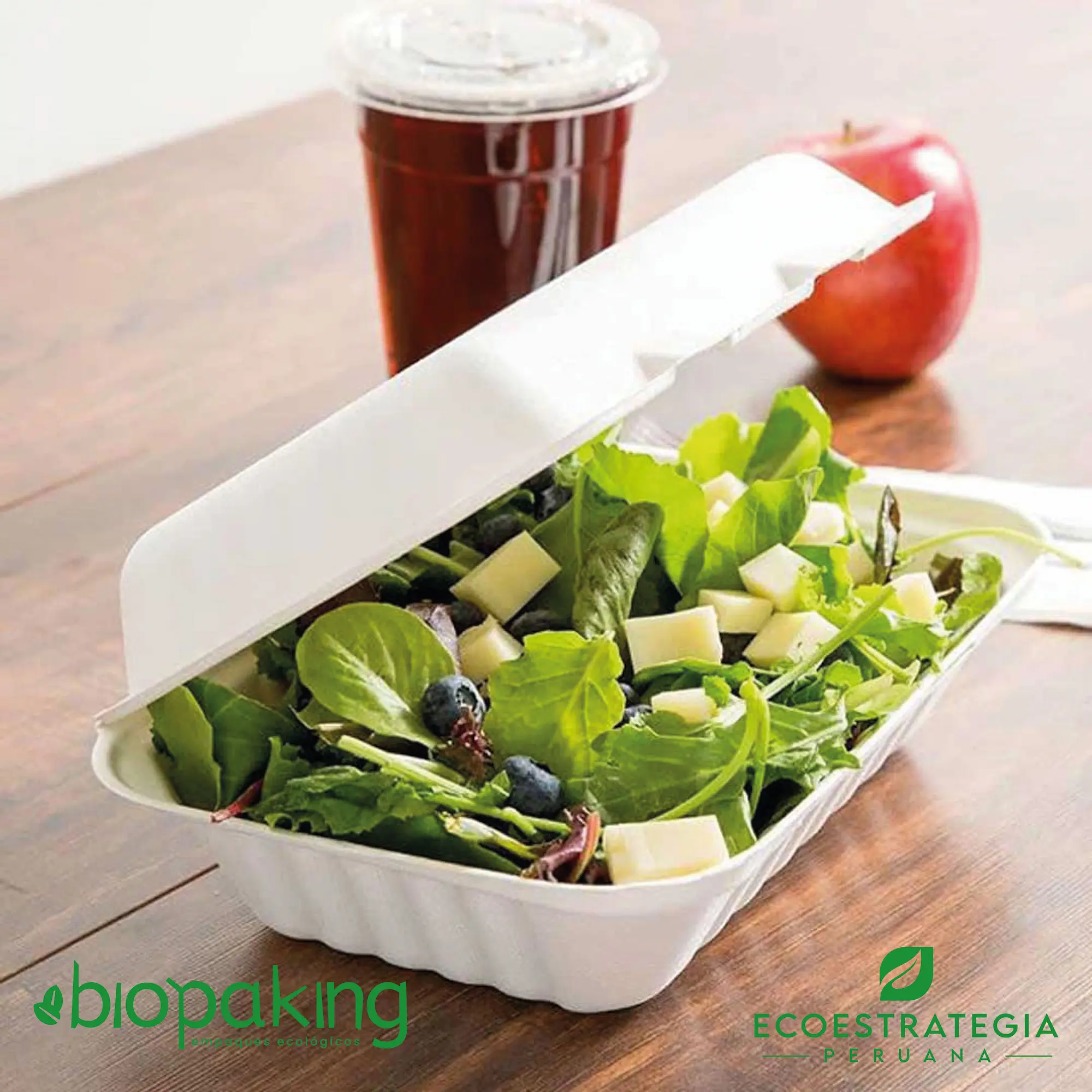 Envase biodegradable CT7 para snacks y ensaladas frescas, perfecto para comida saludable para llevar.