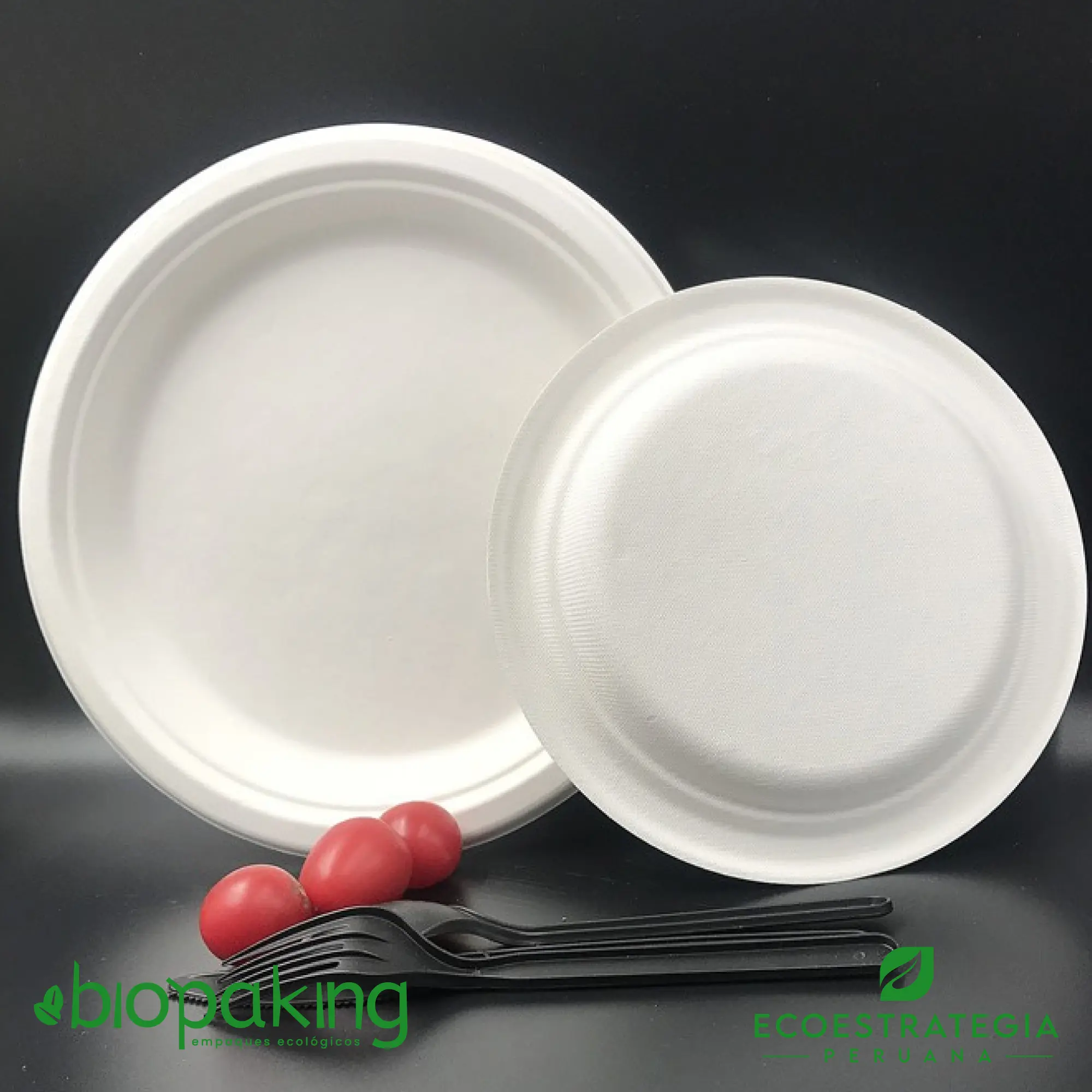 Plato de caña biodegradable de 18 cm, perfecto para restaurantes, cafeterías o delivery consciente.