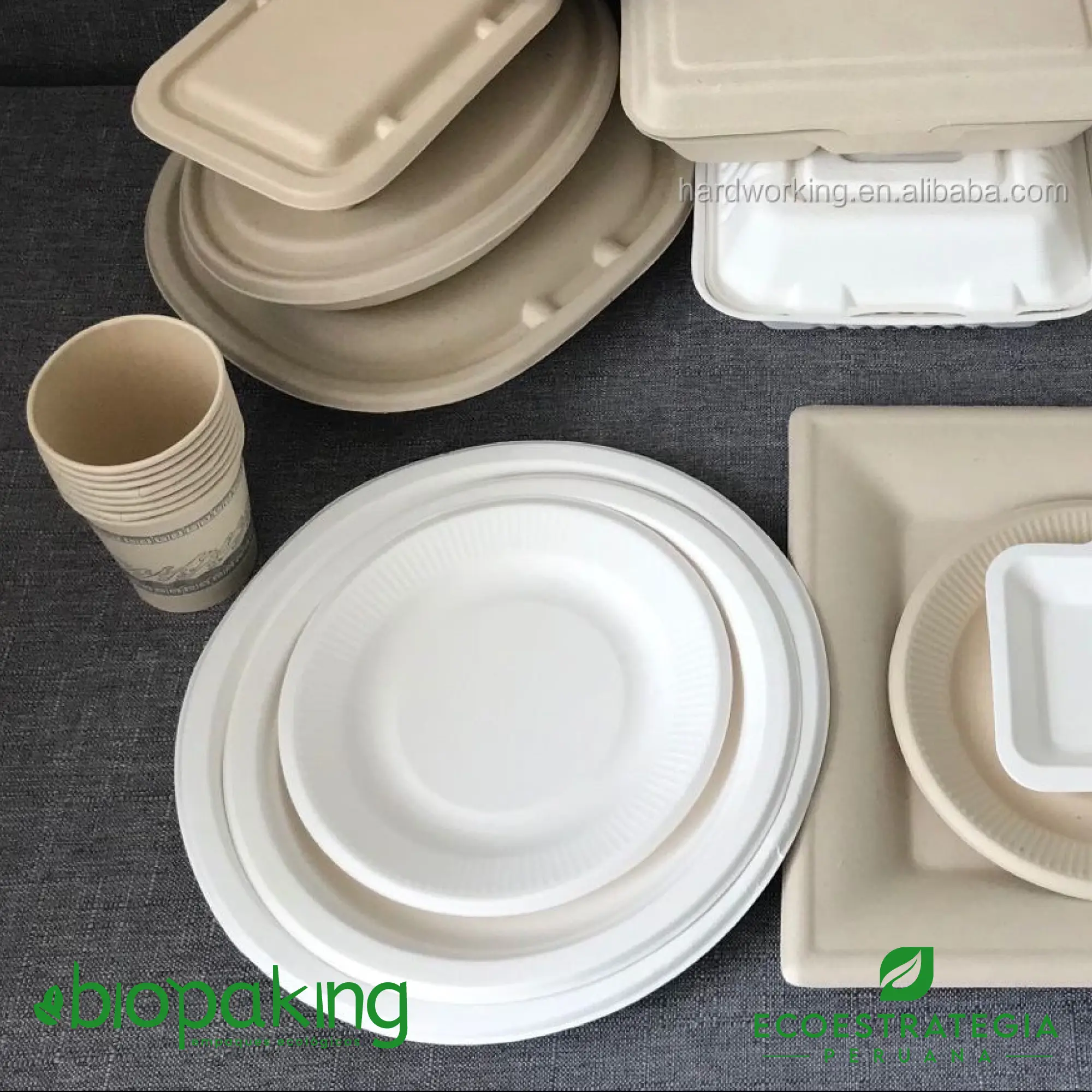 Plato 22cm de bagazo de caña compostable, libre de plástico y perfecto para comida caliente o fría.