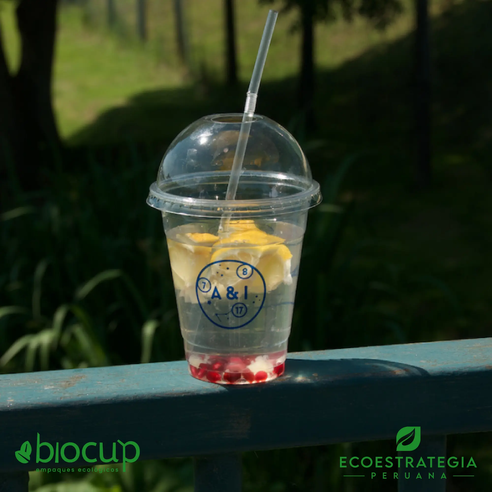 Tapa PET tipo domo para vasos de 16oz, práctica para smoothies y cafés helados